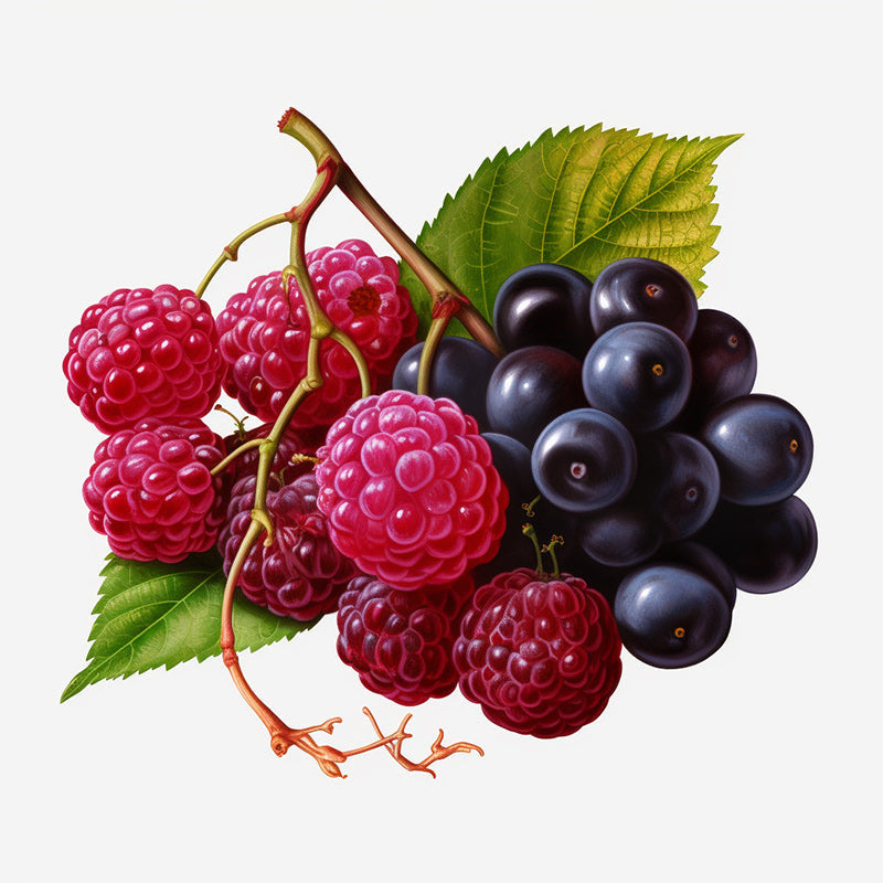 Raspberry Grape